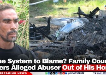 Is the System to Blame? Family Court Orders Alleged Abuser Out of His Home