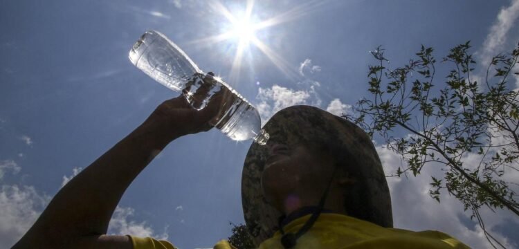 Podcast: El Niño Drought Devastates Central America | The Lighthouse