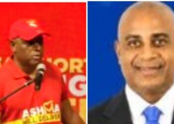 Skerrit: UWP has let down Roseau North voters