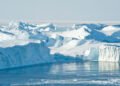 Ice swimming festival in Ilulissat