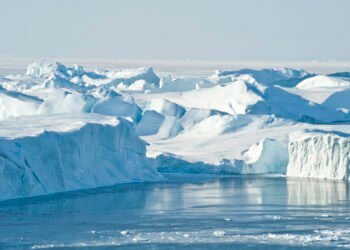 Ice swimming festival in Ilulissat
