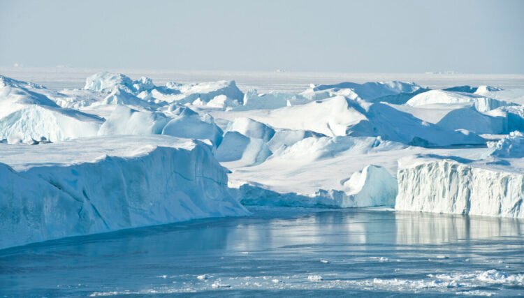 Ice swimming festival in Ilulissat