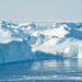 Ice swimming festival in Ilulissat