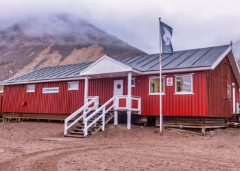 Pilersuisoq disposed of food worth DKK 11.2 million