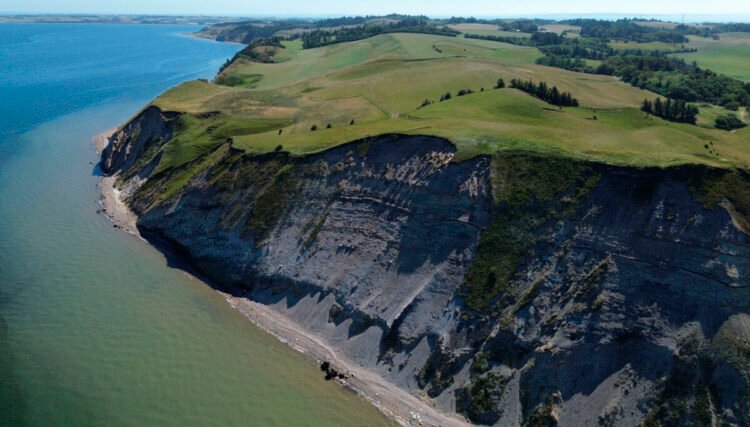 Fossils from Danish islands included in the World Heritage List