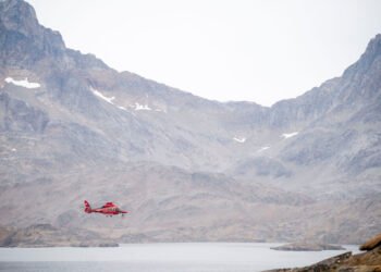 Helicopter had to return after seagull collision
