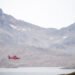 Helicopter had to return after seagull collision