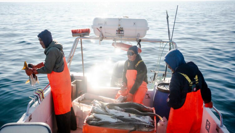 Cod is pulling up purchasing power, but the need for reforms is unchanged