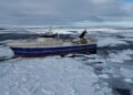 2026 is shaping up to be one of the best mackerel years ever