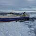 2026 is shaping up to be one of the best mackerel years ever