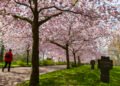 Fewer people die by suicide in Denmark