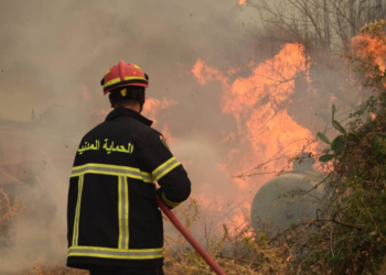 Justice reveals the identity of 9 accused of setting fires in Jijel – Al-Shorouk Online