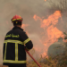 Justice reveals the identity of 9 accused of setting fires in Jijel – Al-Shorouk Online