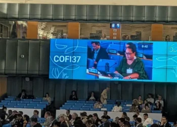 Pacific Delegations Press Fisheries Priorities at FAO Committee in Rome