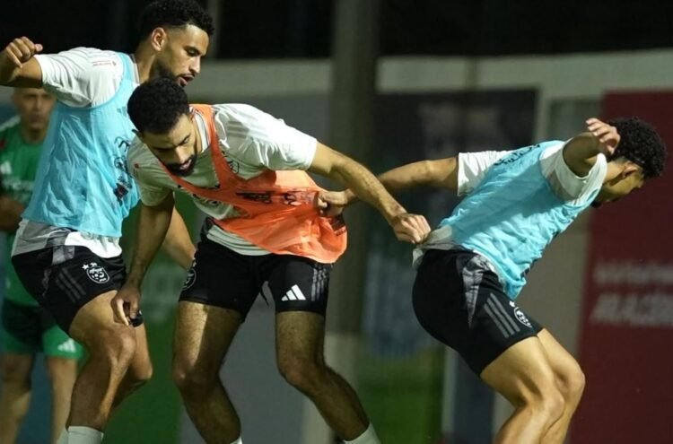 “The Greens” are entering a new era… with a new technical staff… and a renewed lineup – Al-Shorouk Online