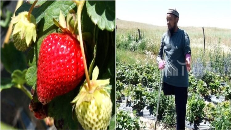 “Tok urup, butu-koluman azhyradym”: Mumkunchulugun chektebegen Turat Monkoev kulpunaidan tushum aluuda