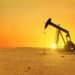 Oman oil rallies to $101.84