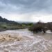 Rains lash Al Dhahirah, Al Sharqiyah North, and Al Dakhiliyah