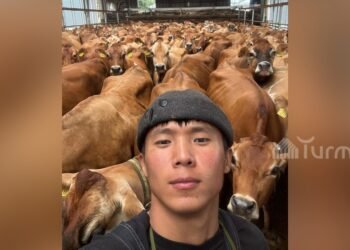 The story of Kyrgyzstani Sardarbek Sulaymanov in Denmark: Not even a toilet can save you from traveling without a ticket