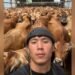 The story of Kyrgyzstani Sardarbek Sulaymanov in Denmark: Not even a toilet can save you from traveling without a ticket