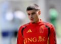 Football: Soccer-Newcastle sign Belgium forward Fernandez-Pardo from Lille