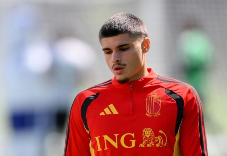 Football: Soccer-Newcastle sign Belgium forward Fernandez-Pardo from Lille