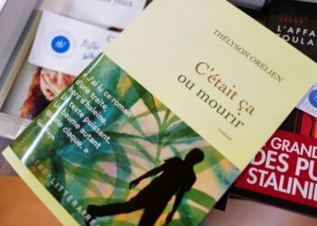 France’s prestigious Goncourt prize drops novel after author accused of using AI