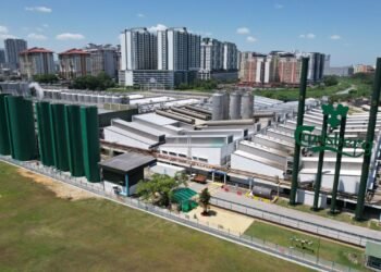 Brewing green | The Star