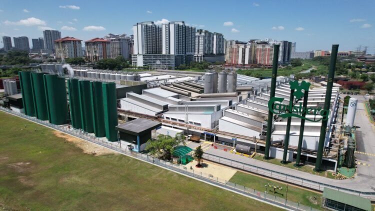 Brewing green | The Star