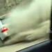 Turmush: In the Boom Gorge, a Toyota Land Cruiser drove off the road, no injuries
