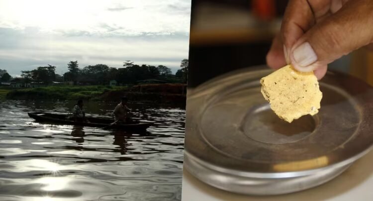 More than two tons of illegal gold leave the 13 rivers of the Loreto region every year