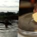 More than two tons of illegal gold leave the 13 rivers of the Loreto region every year