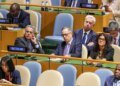 Switzerland maintains efforts to find global peace: foreign minister