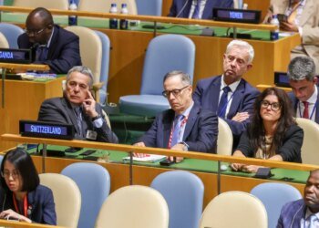 Switzerland maintains efforts to find global peace: foreign minister