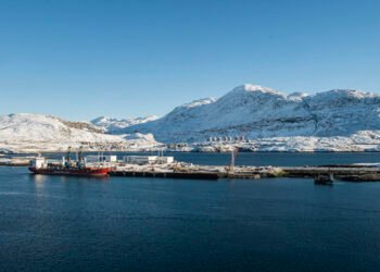 Mayors welcome commercial ports