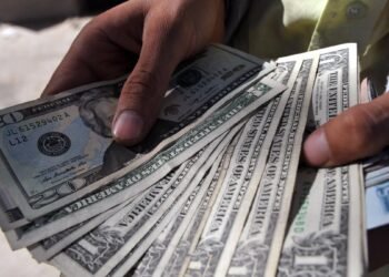 The dollar does not stop falling: the illegal economy is one of the causes of the strengthening of the peso, the Government recognizes
