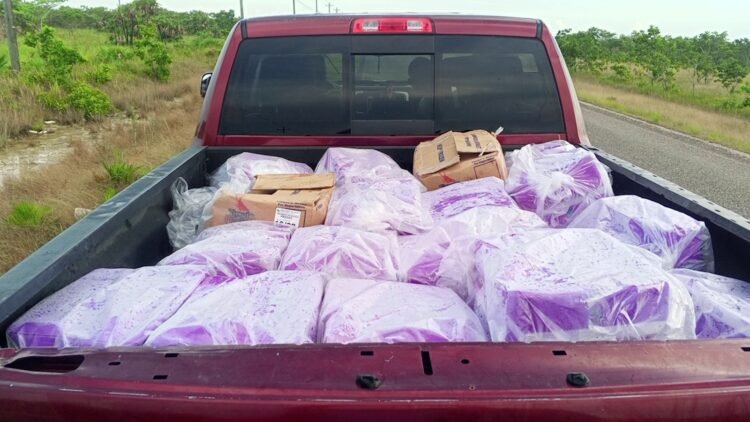 Seafood Smuggling Bust Nets $94,000 Fine