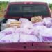 Seafood Smuggling Bust Nets $94,000 Fine