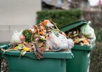 First national week to tackle food waste starts in Switzerland