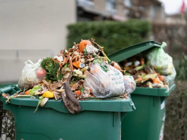 First national week to tackle food waste starts in Switzerland