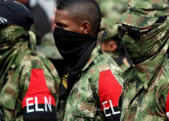 The intelligence information that reveals the 65 structures of the ELN and the location of its 7,204 members