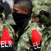 The intelligence information that reveals the 65 structures of the ELN and the location of its 7,204 members