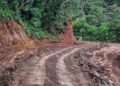 COM approves VT680M for first phase of Aneityum road