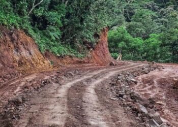 COM approves VT680M for first phase of Aneityum road