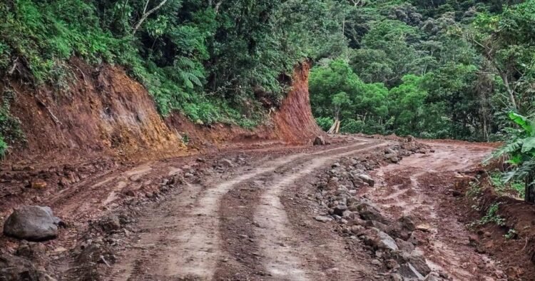 COM approves VT680M for first phase of Aneityum road