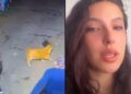 Model Hasli Jáuregui reports that she was attacked by her partner in the middle of a public street in Bogotá: the attack was recorded by a security camera