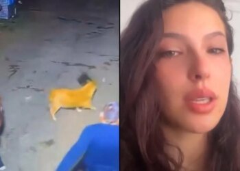 Model Hasli Jáuregui reports that she was attacked by her partner in the middle of a public street in Bogotá: the attack was recorded by a security camera