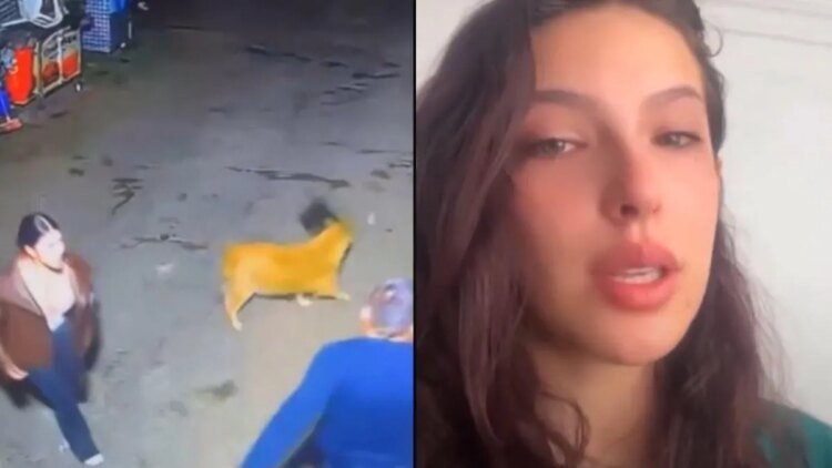 Model Hasli Jáuregui reports that she was attacked by her partner in the middle of a public street in Bogotá: the attack was recorded by a security camera