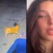 Model Hasli Jáuregui reports that she was attacked by her partner in the middle of a public street in Bogotá: the attack was recorded by a security camera