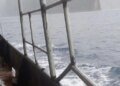 Criminal complaint lodged, VMSA wants MV Matui captain arrested